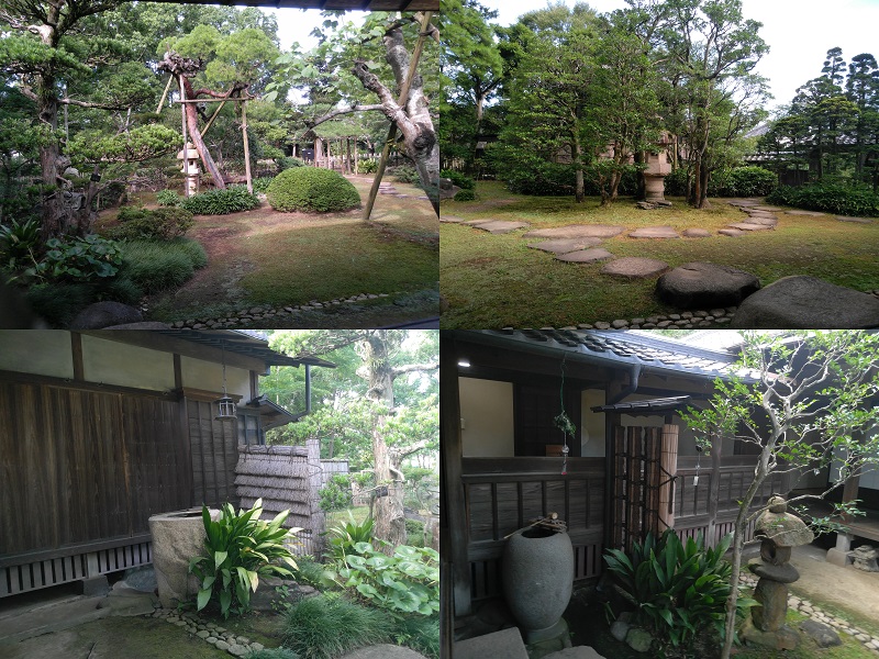 院内的花园