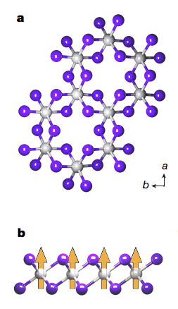 图2，图片来自 Huang, Bevin, et al. 